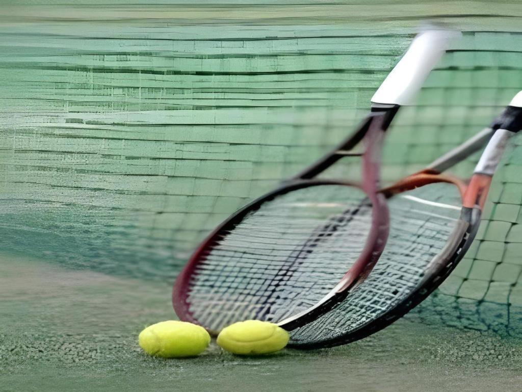 伊豆稲取 スポーツヴィラ エクステリア 写真